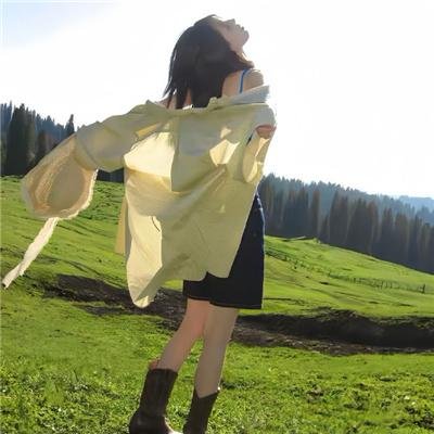 冬鹰