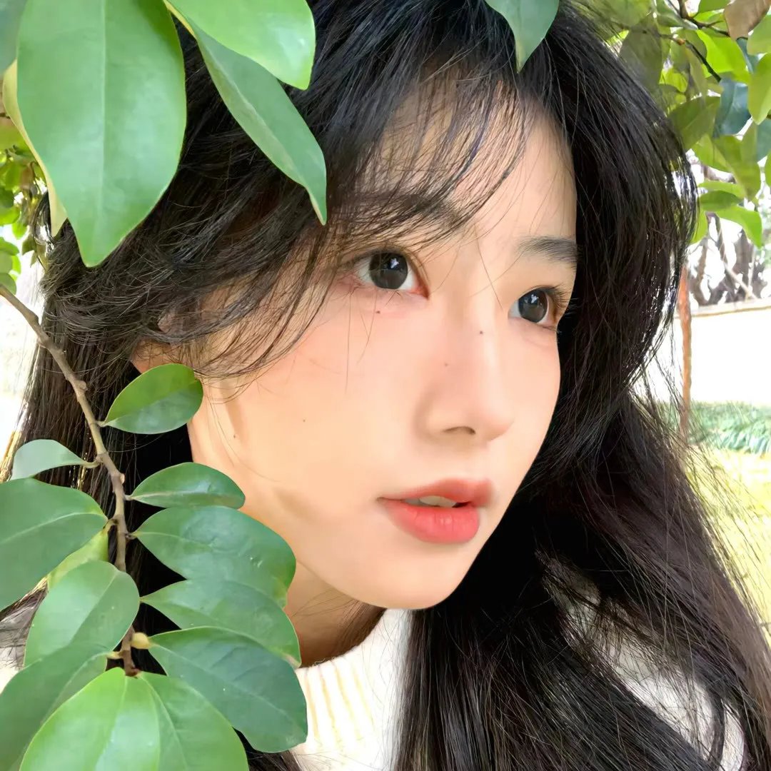 封面女郎